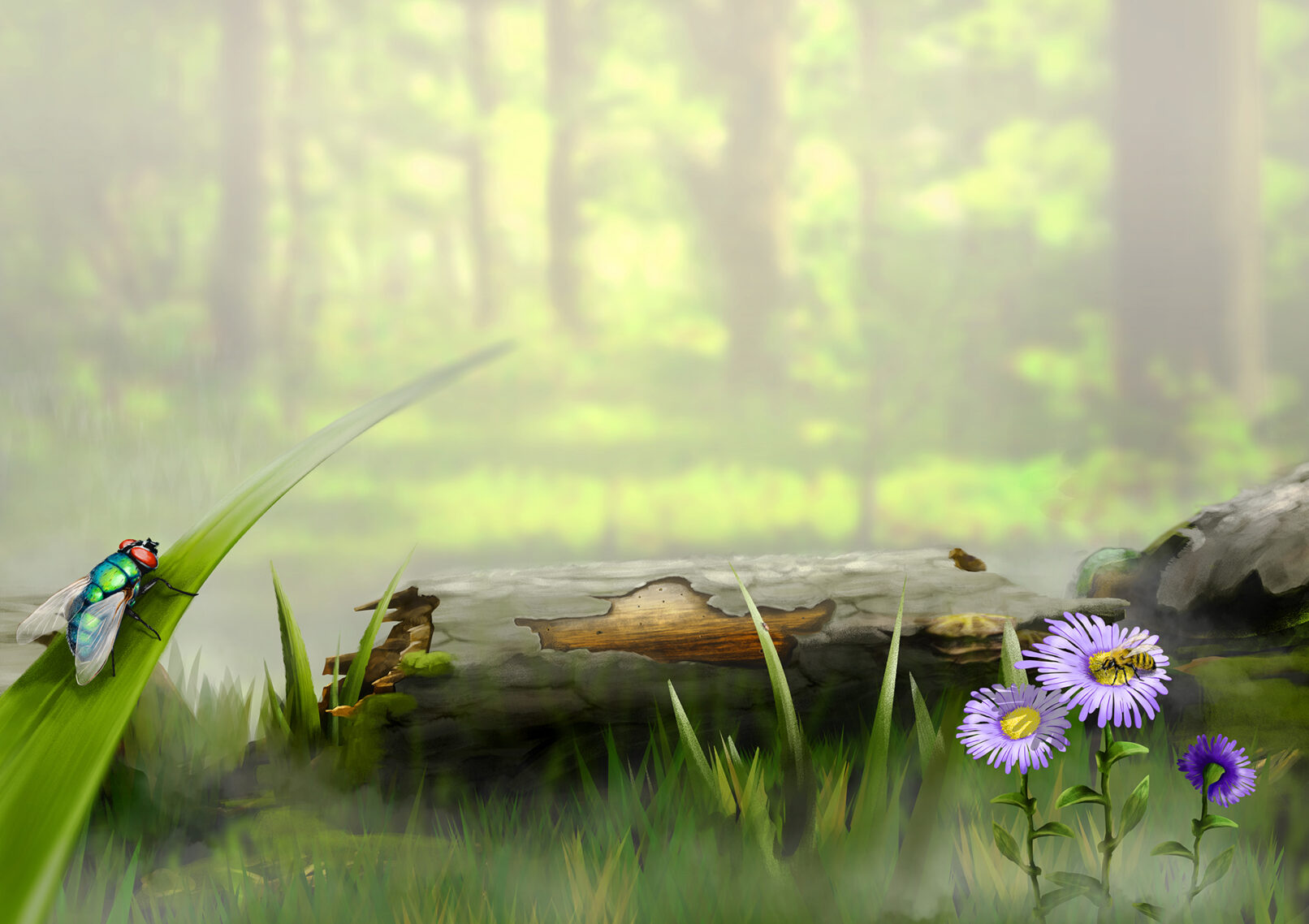forest scene, old tree log, fly and bee on plants in foreground